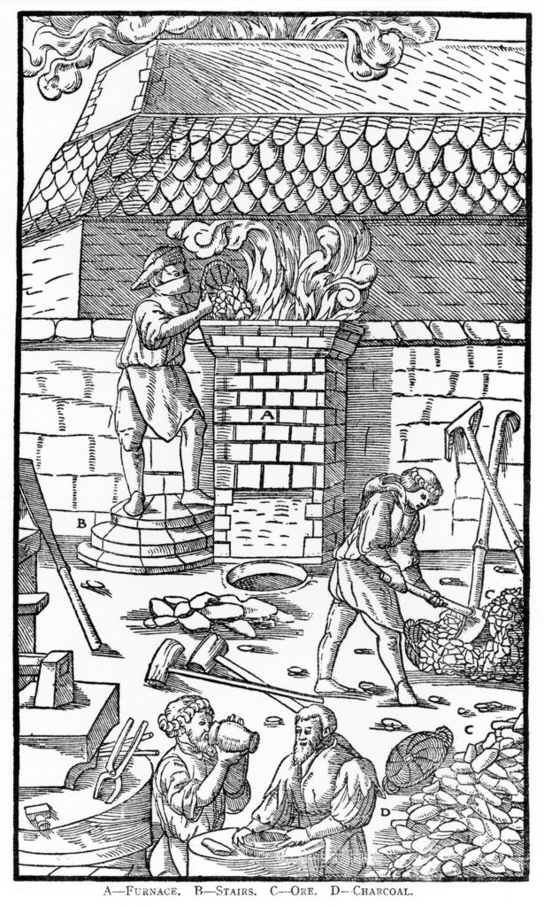 Parliament and the Elizabethan energy crisis